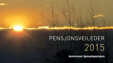 Pensjonsveileder 2015