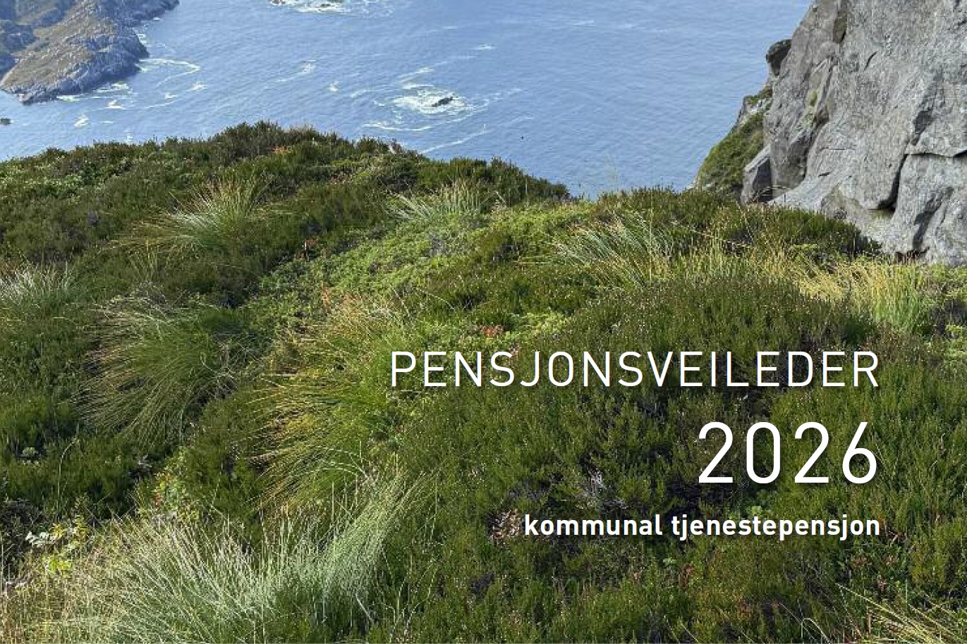 Pensjonsveileder 2026