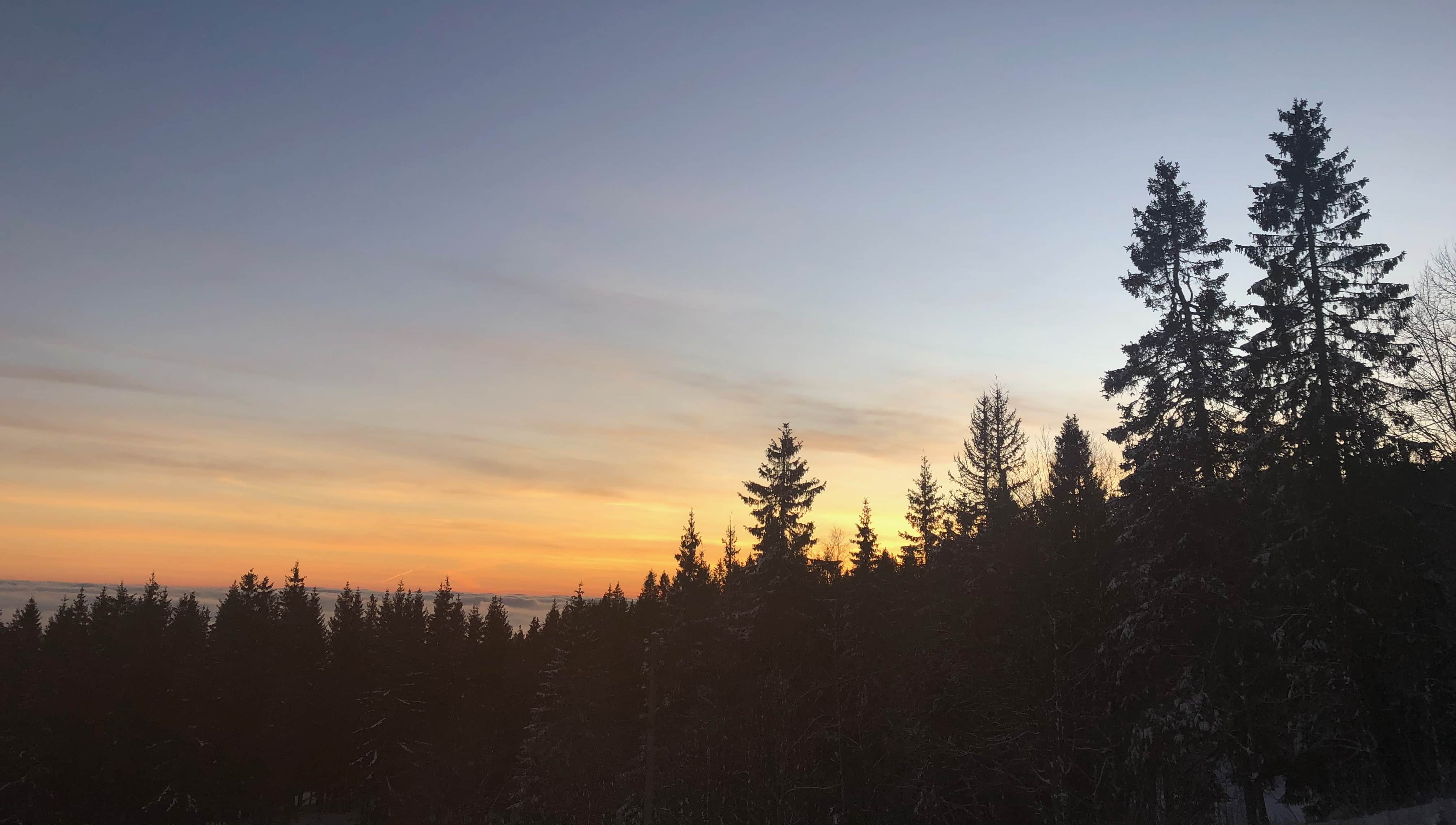 Bilde av skog og kveldshimmel